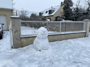 Agrandir l’image