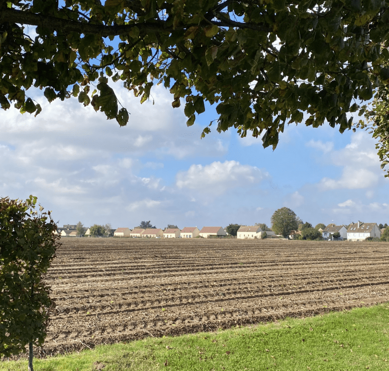 Paysage champs arbres Lissy