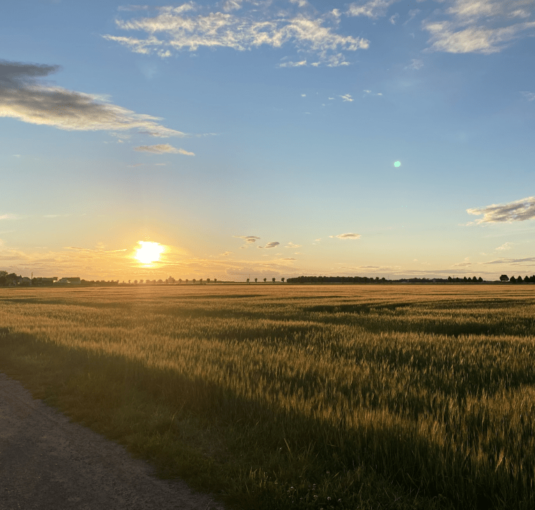 Soleil couchant sur champs à Lissy
